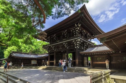 Meiji Jingu Shrine & Harajuku
